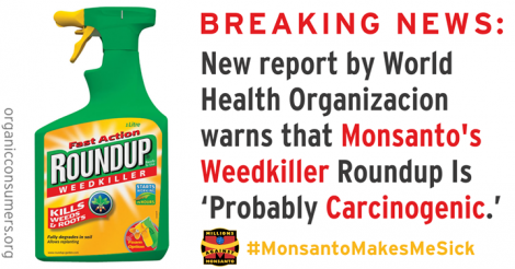 Nog zo'n lekker middeltje van Monsanto, dat met veel lobby-werk in de EU ook werd goedgekeurd.. Glyphosaat. Inmiddels door de WHO als 'zéér waarschijnlijk kankerverwekkend' gekarakteriseerd..!