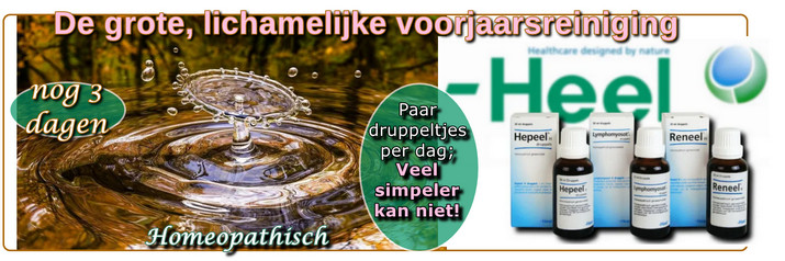 HEEL reiniging homeopathie banner NB april 2022