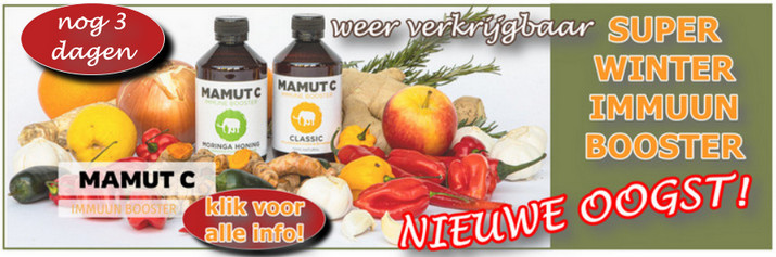 MAMUT C banner nov 2024 