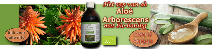 Aloe Aborescens biohoning NB jan 2022