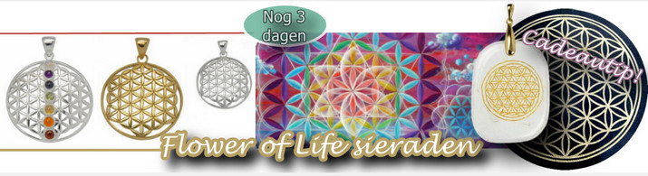 Flower of Life sieraden banner NB okt-nov 2020