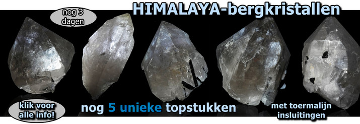 Himalaya kristal met toermalijn maart 2022 NB banner