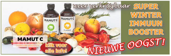 MAMUT C banner nov 2024 