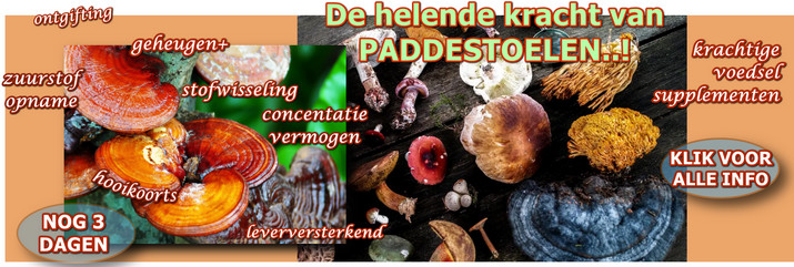 paddenstoelen supplement NB juni 2022